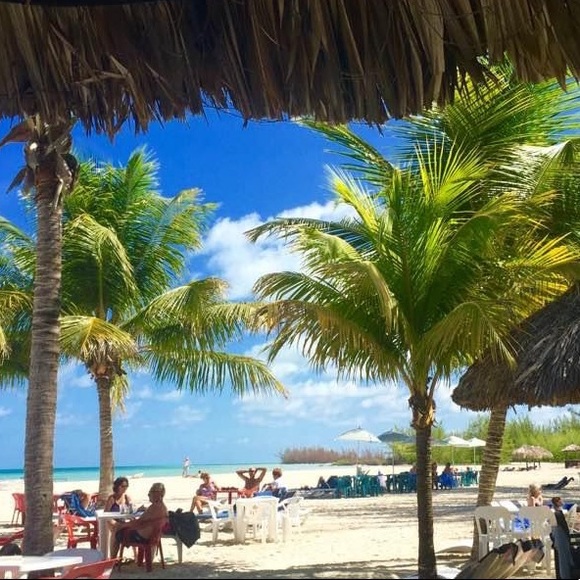 Meet your Posher, Sandra - Picture 1 of 1